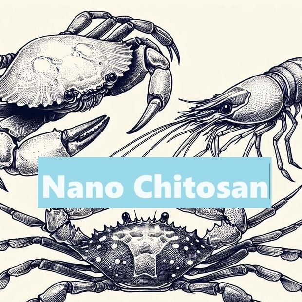 Nano Chitosan image _1_ _2_.jpg Nano Chitosan image _1_ _2_.jpg
